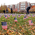 Election experts from DePaul University available to discuss key 2024 campaign topics